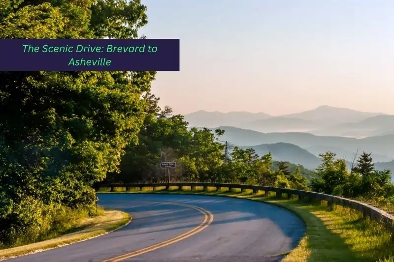 brevard nc to asheville nc, The Scenic Drive: Brevard to Asheville